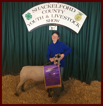 Moulton Livestock Show